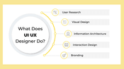 What does UI UX Designers do?
