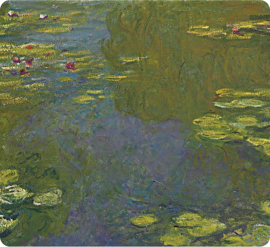 Water Lilies