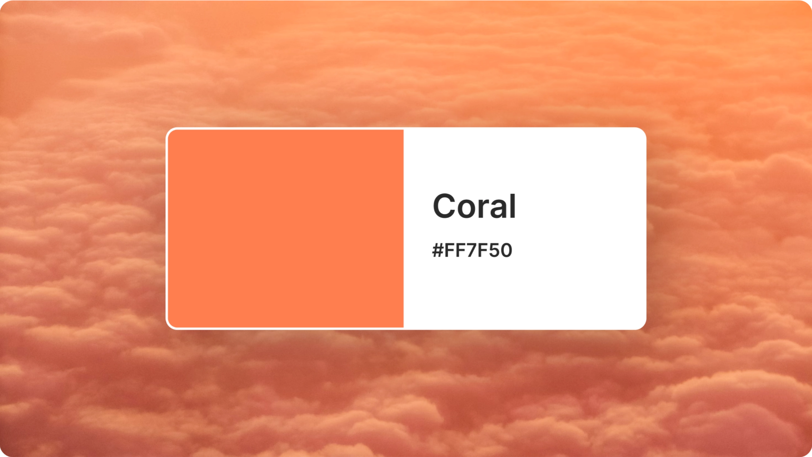 category coral