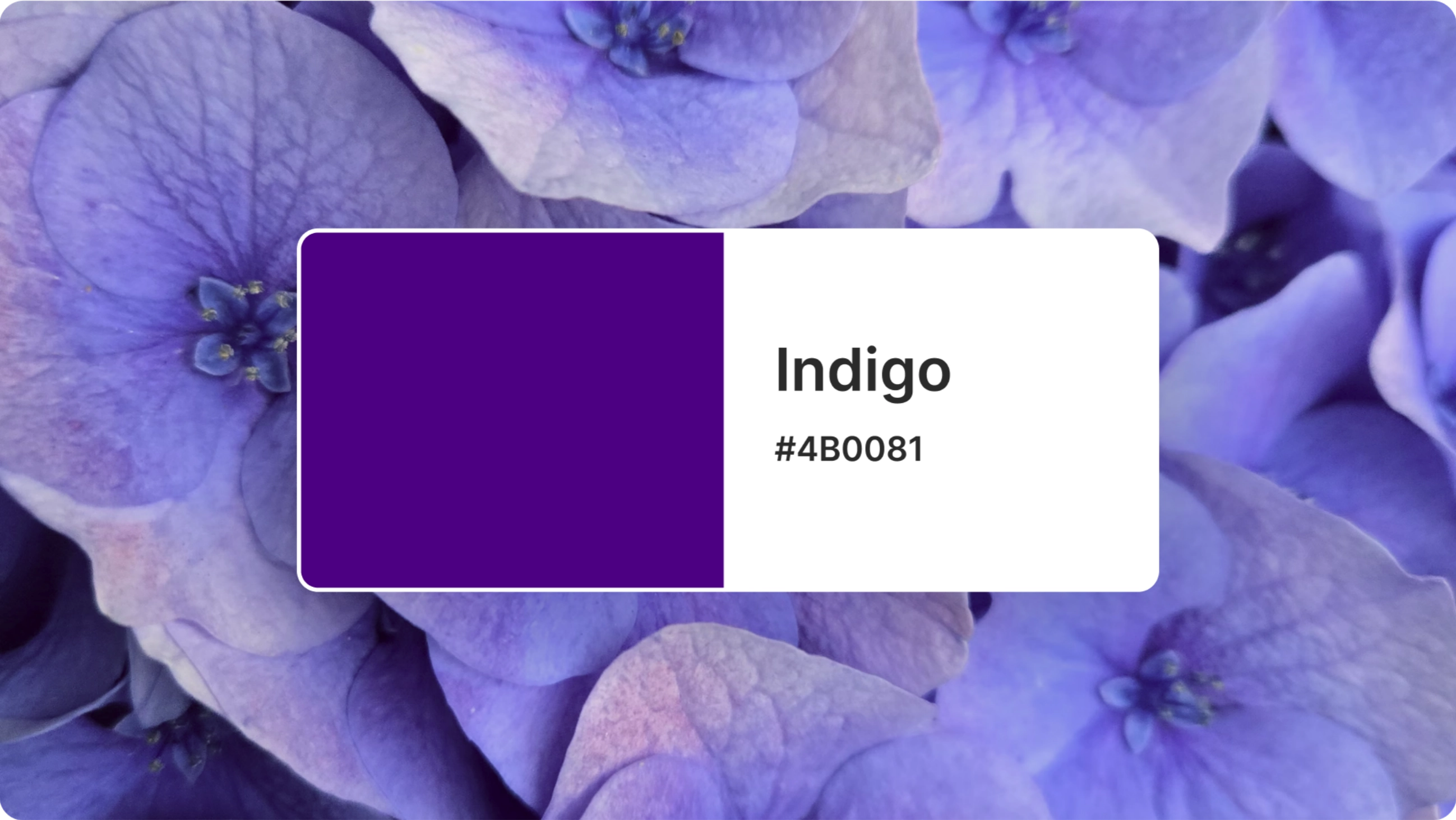 category indigo