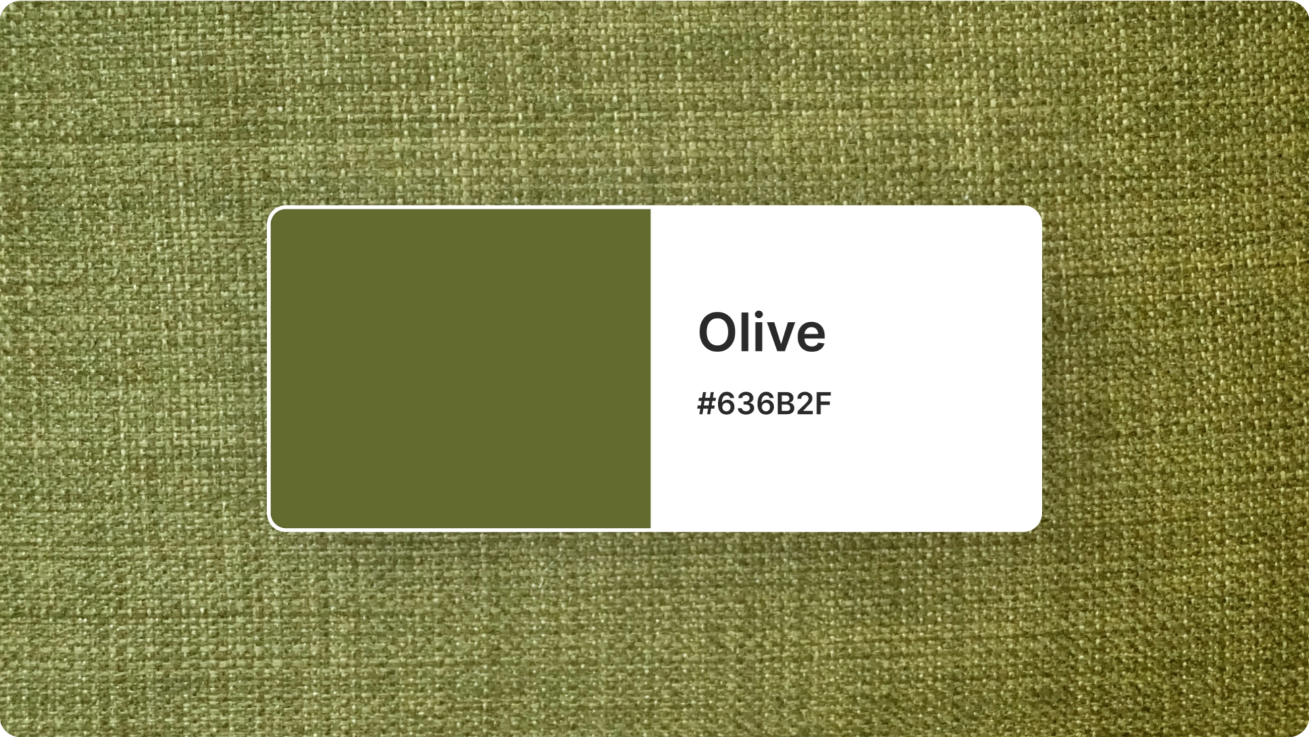 category olive