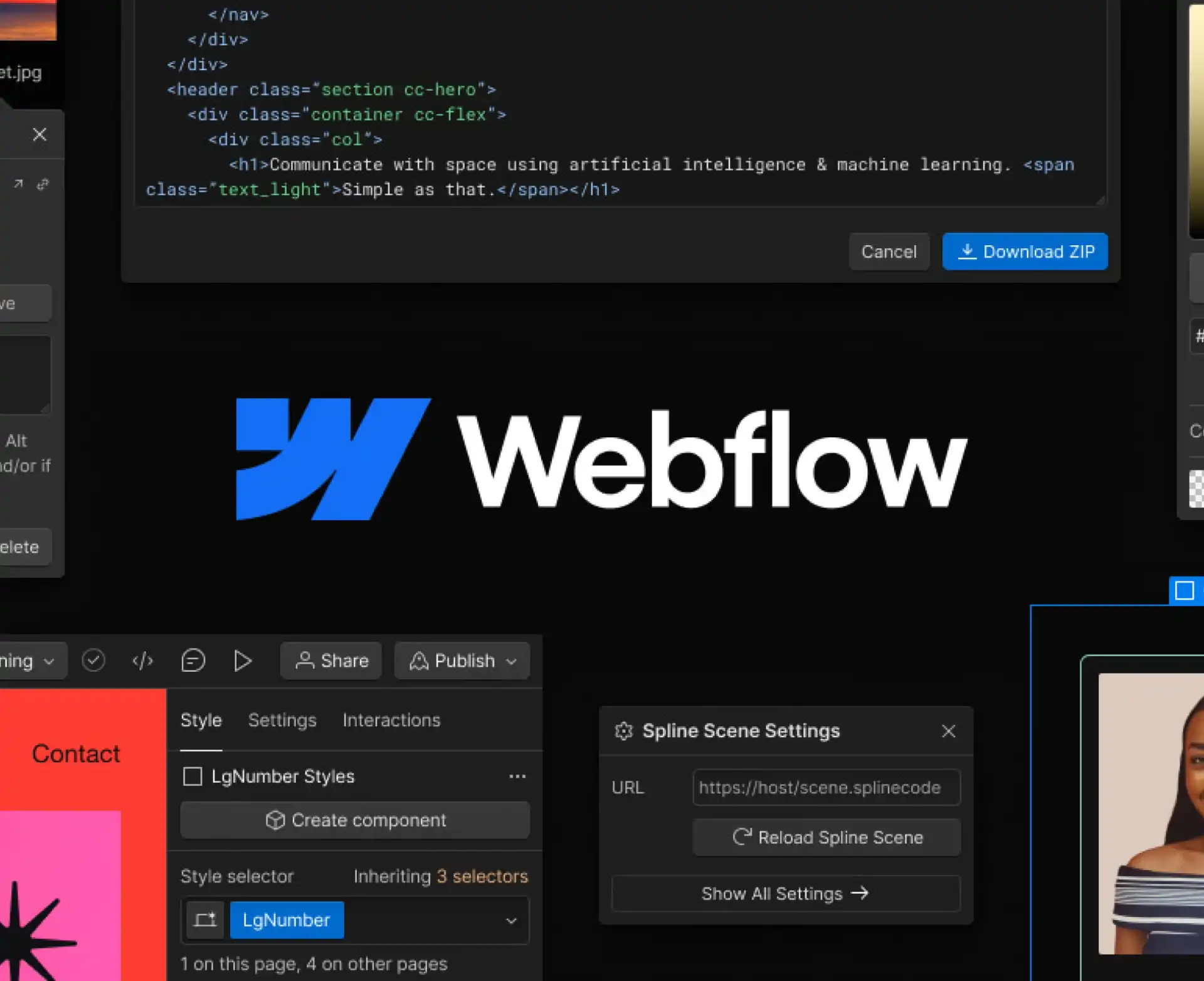 We are a leading Webflow development company